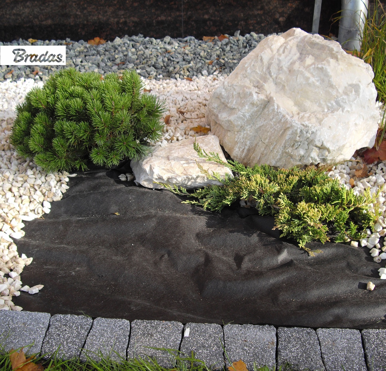 Agrotekstilė nuo piktžolių Bradas, 80 g/m², 1 x 5 m, neaustinė, juoda - 2