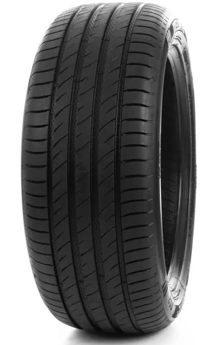 Delinte DS2 245/40R18 97 W - ermitazas.lt