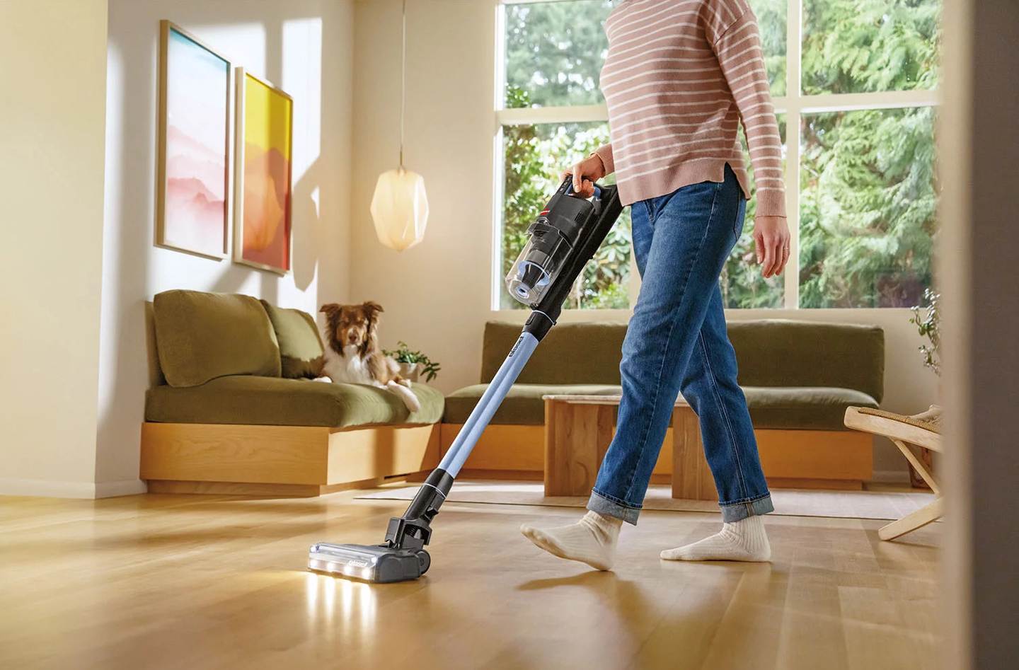 Dulkių siurblys - šluota BISSELL PowerClean FurFinder Select - 4