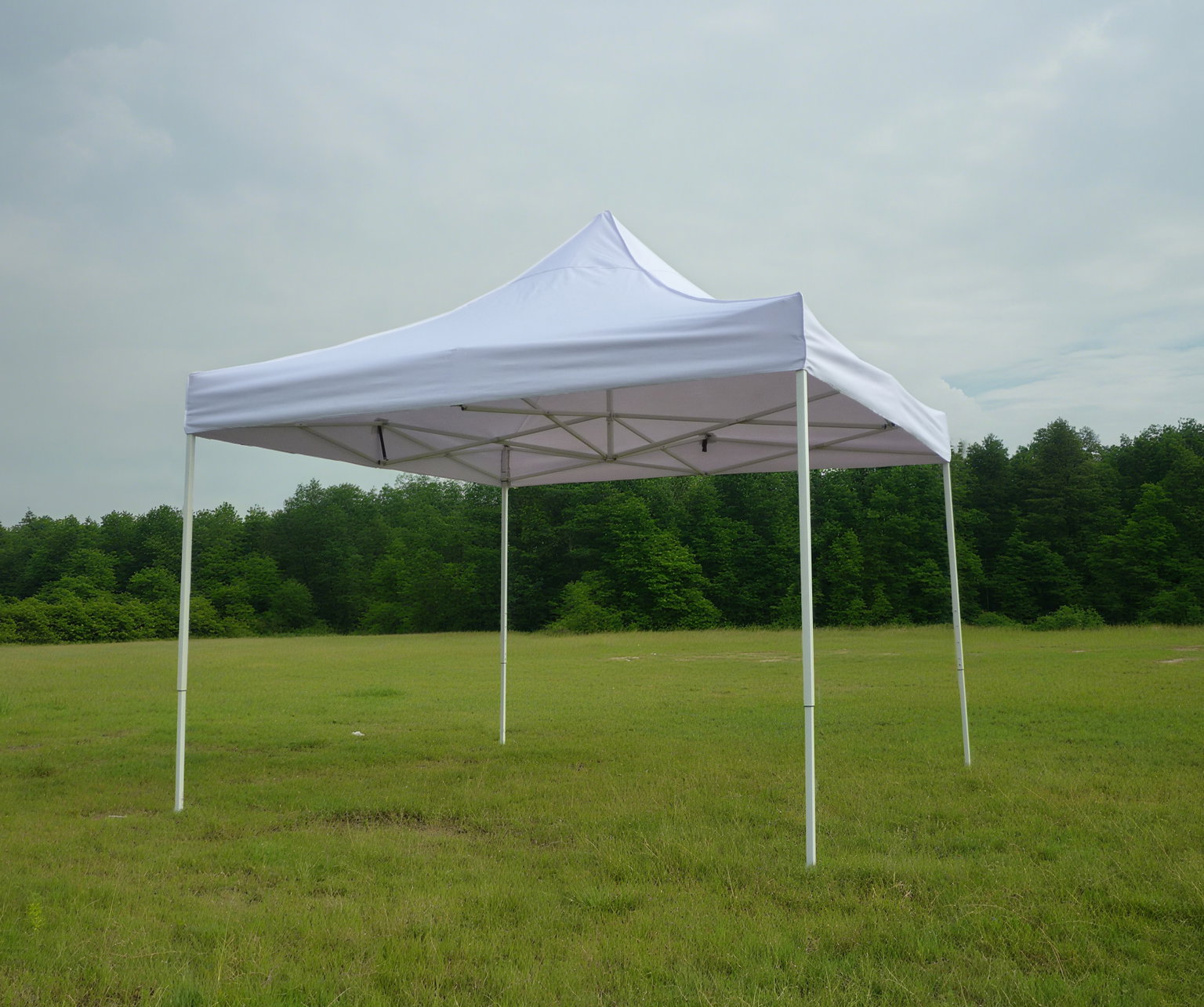 Sodo pavėsinė VERMONT, baltos sp., 300 x 300 cm-0
