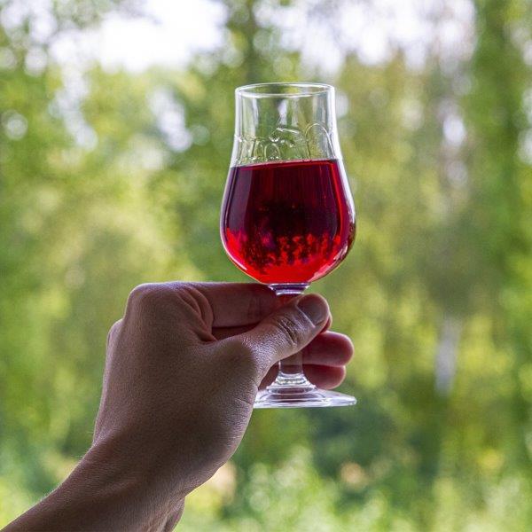 Vyno spalvos paryškinimo produktas BIOWIN - 3