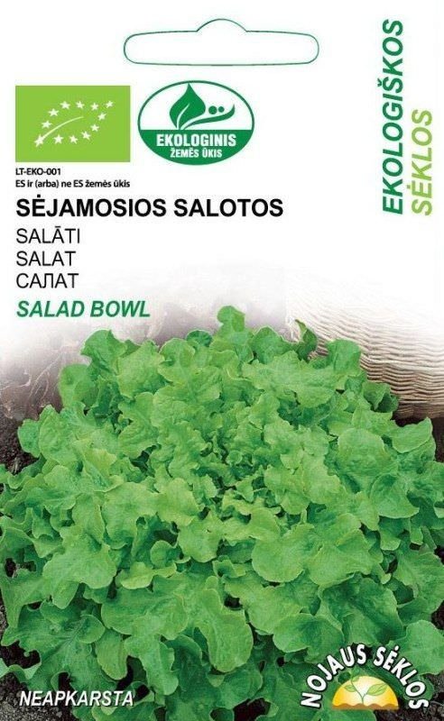 Salotų SALAD BOWL sėklos, 1 g