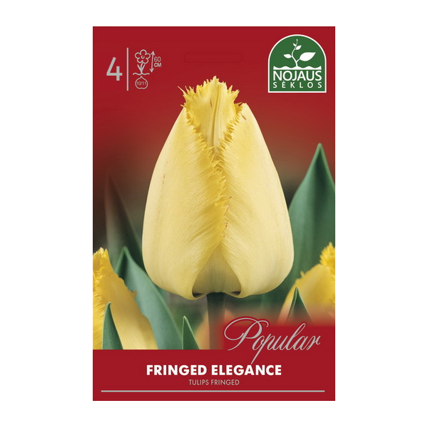 Tulpių svogūnėliai, lot. TULIPA FRINGED ELEGANCE, 4 vnt-0
