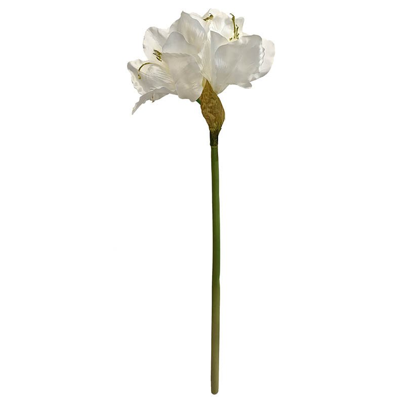 Dirbtinė gėlė AMARILIS, kreminės sp., 63 cm - 1
