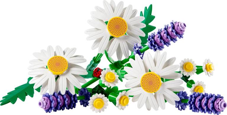 Konstruktorius LEGO Botanicals Daisies 11508, 133 vnt. - 2
