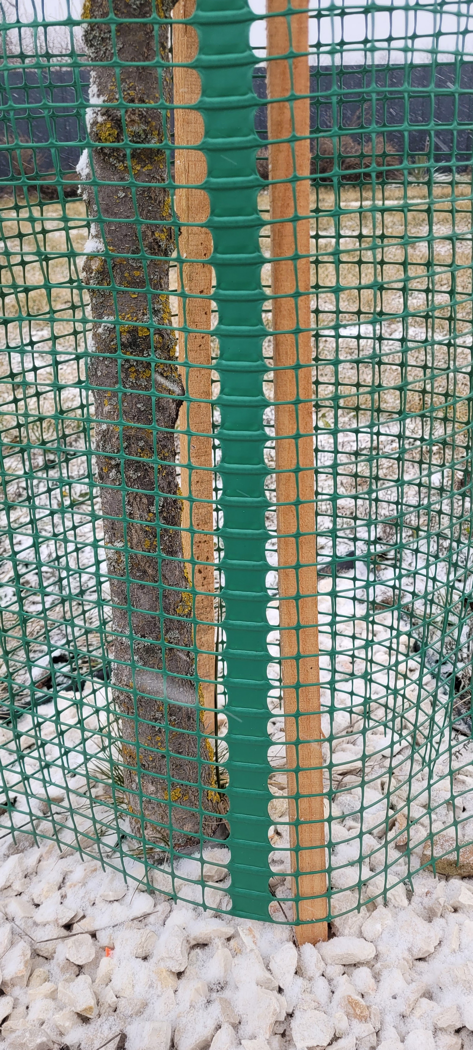 Apsauginis tinklas medeliams SHELTER FR3, 10 x 10 mm, 120 cm - 4