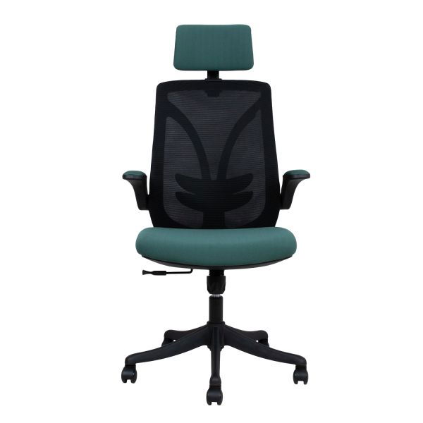 Biuro kėdė TANDY, 62.5x64x116-126 cm, žalia/juoda-1