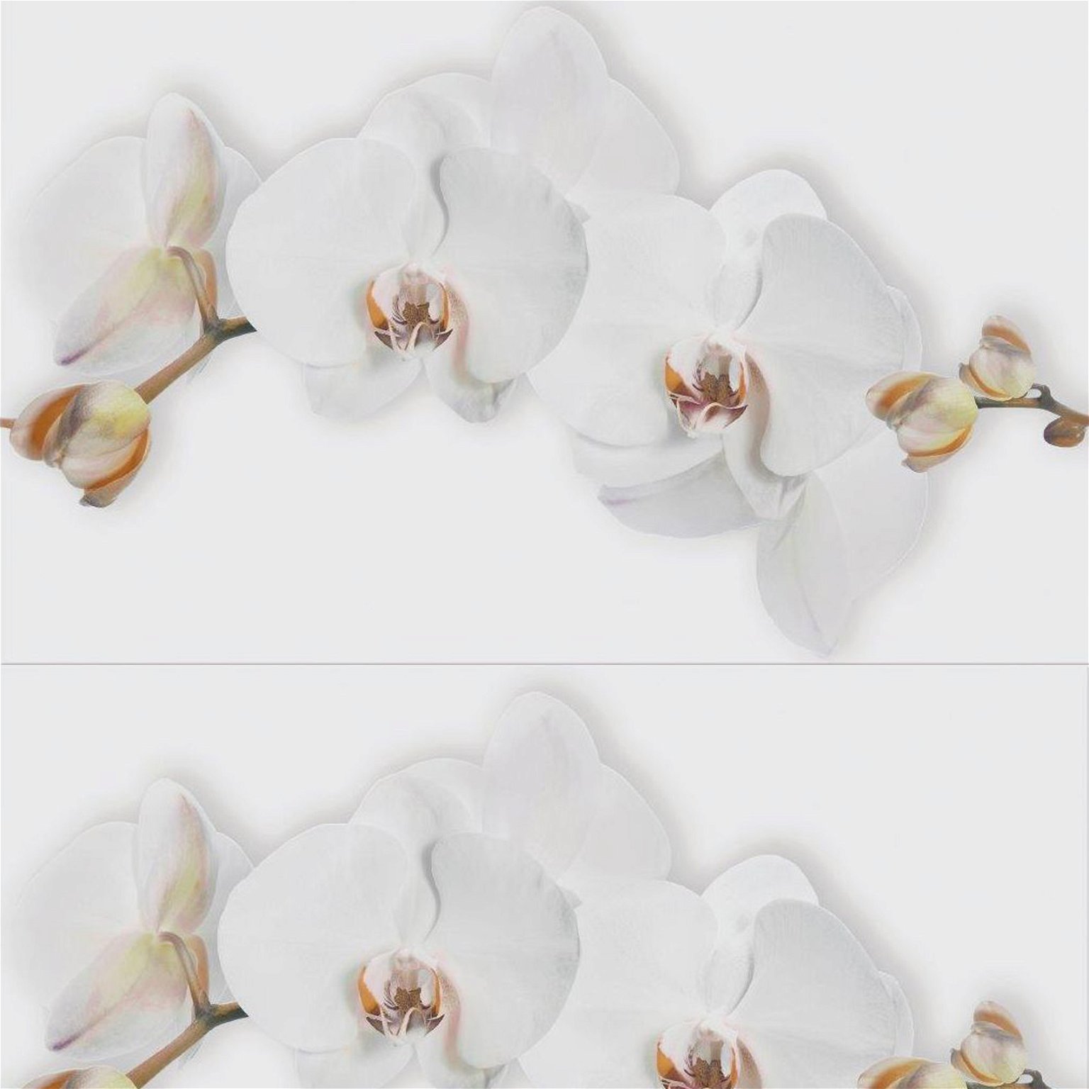 Dekoratyvinė plytelė MARISOL WHITE INSERTO FLOWER, 25 x 40 cm