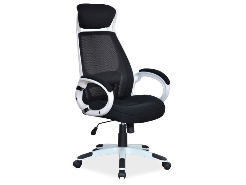 Biuro kėdė Q-409, juoda/balta-0