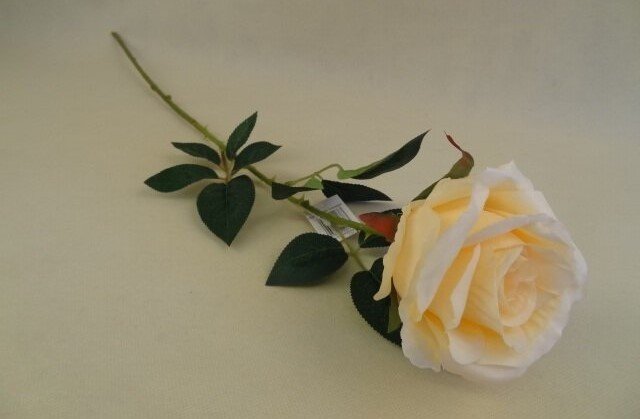Dirbtinė gėlė ROSE, kreminės sp., 78 cm