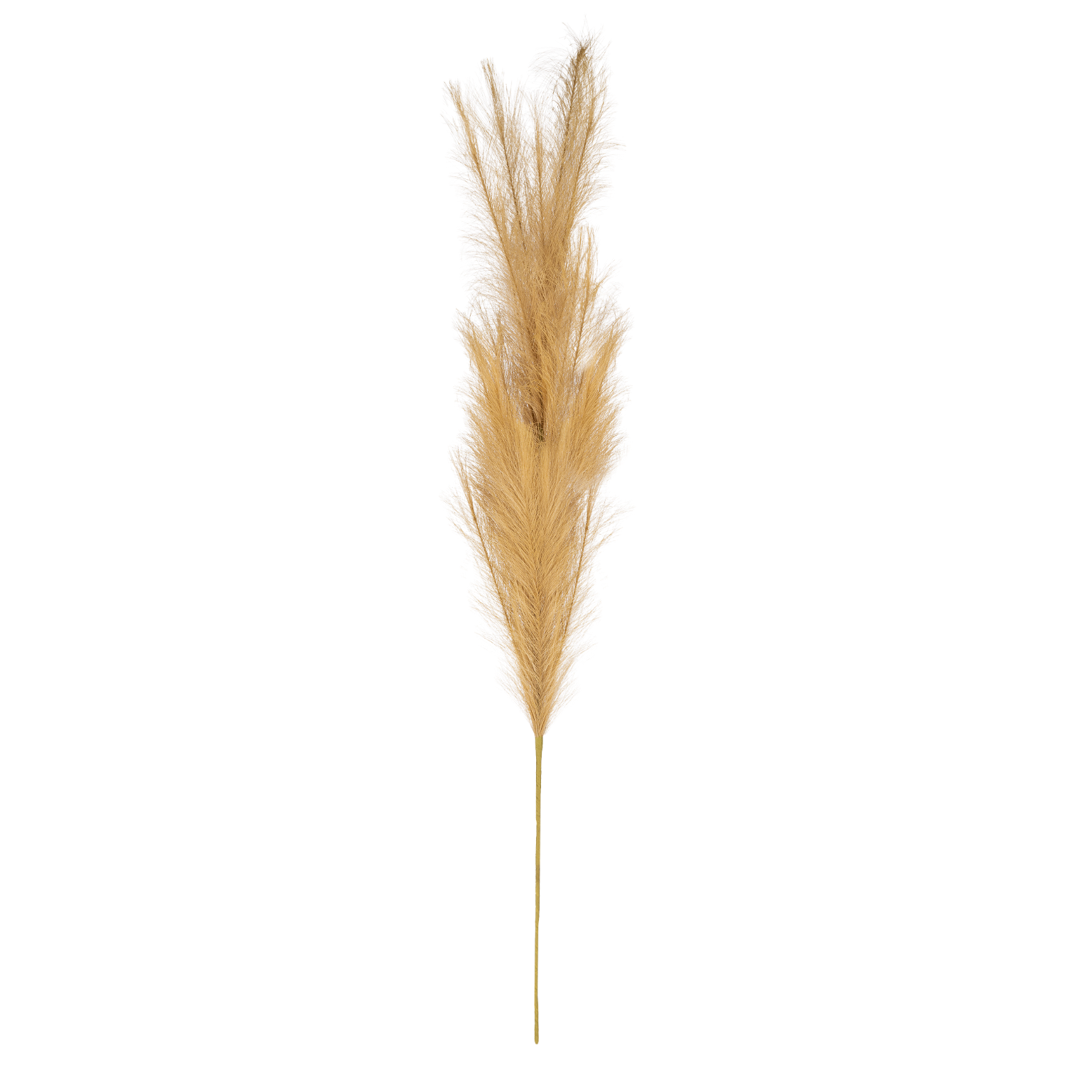 Dirbtinė gėlė ELEMENTS SENSE Feather, įvairių sp., 110 cm