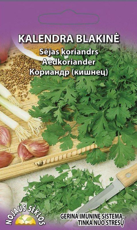 Blakinių kalendrų sėklos, 2 g-0