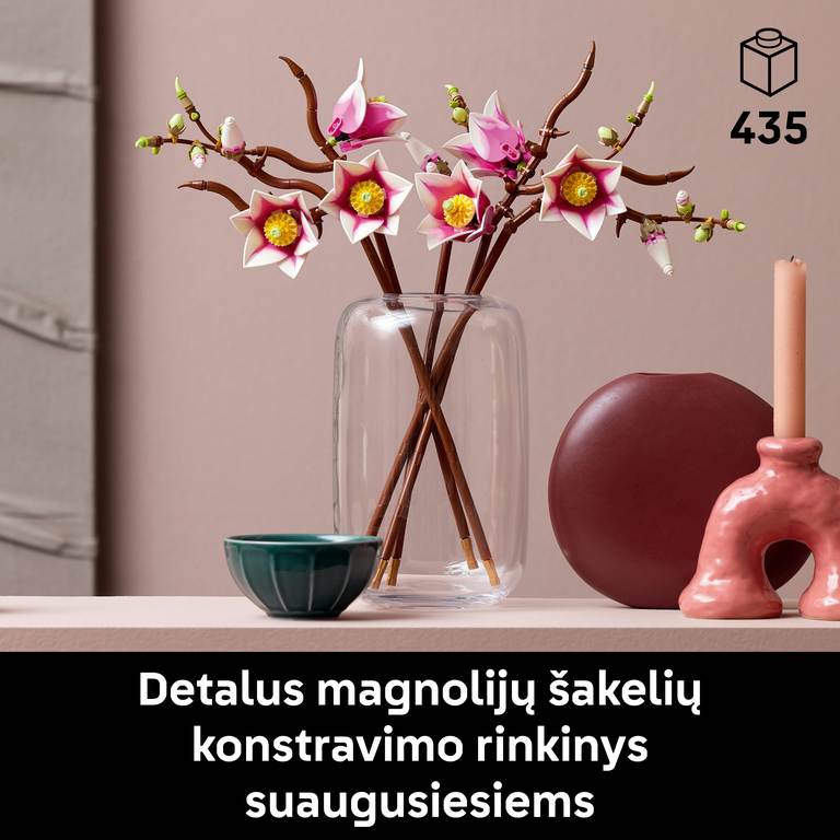 Konstruktorius LEGO Botanicals Magnolia Branches - 3