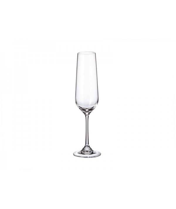Šampano taurės CRYSTAL Strix, 200 ml, 6 vnt-0