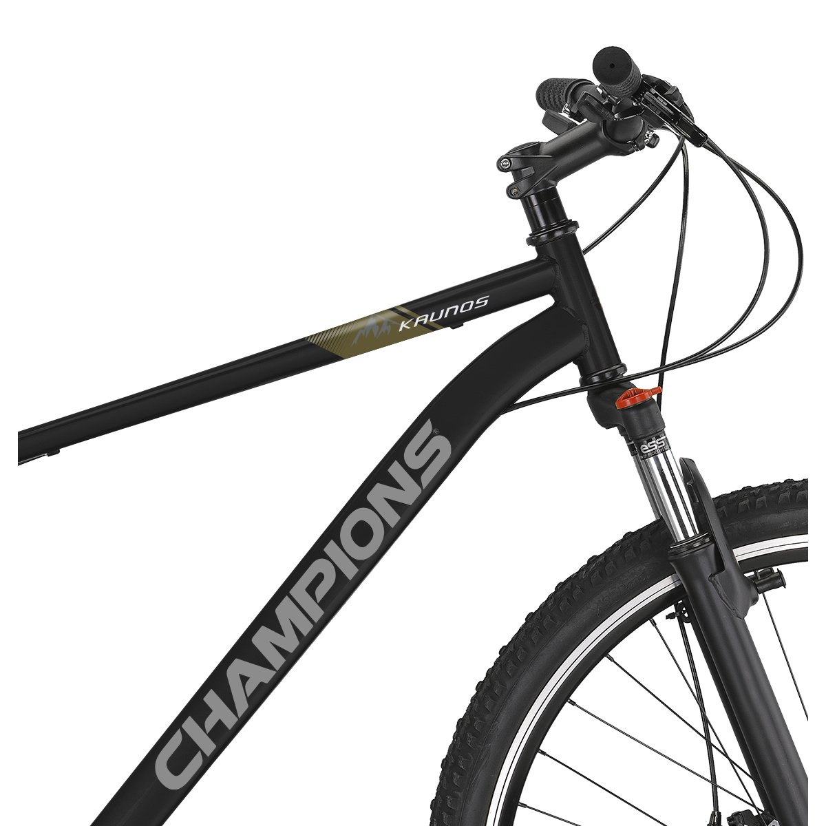 Kalnų dviratis Champions Kaunos 29 DB (KAU.2954D), 29 ", juoda - 5