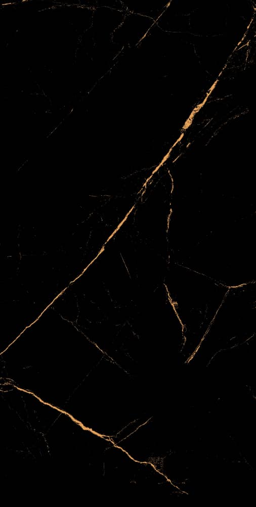 Akmens masės plytelės  60*120 MARKINIA GOLD HG (sienoms, įv.raštai) - 5