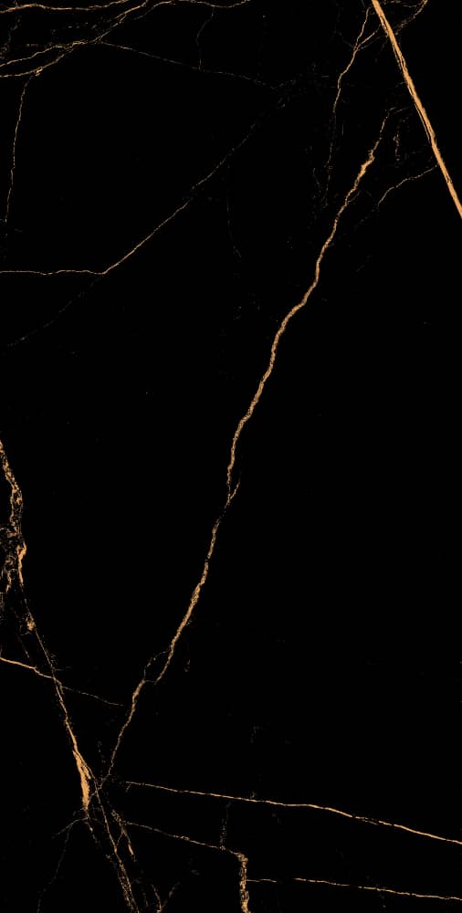 Akmens masės plytelės  60*120 MARKINIA GOLD HG (sienoms, įv.raštai) - 4