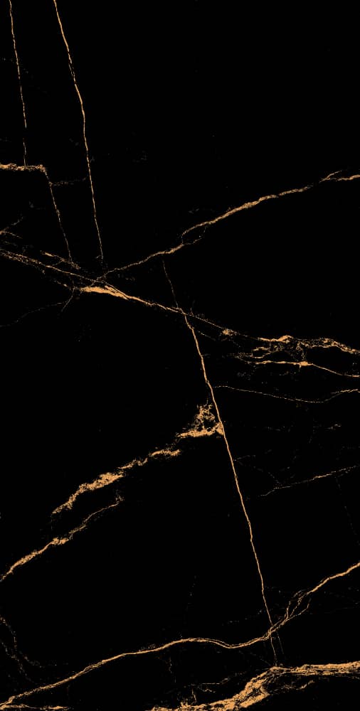 Akmens masės plytelės  60*120 MARKINIA GOLD HG (sienoms, įv.raštai) - 6