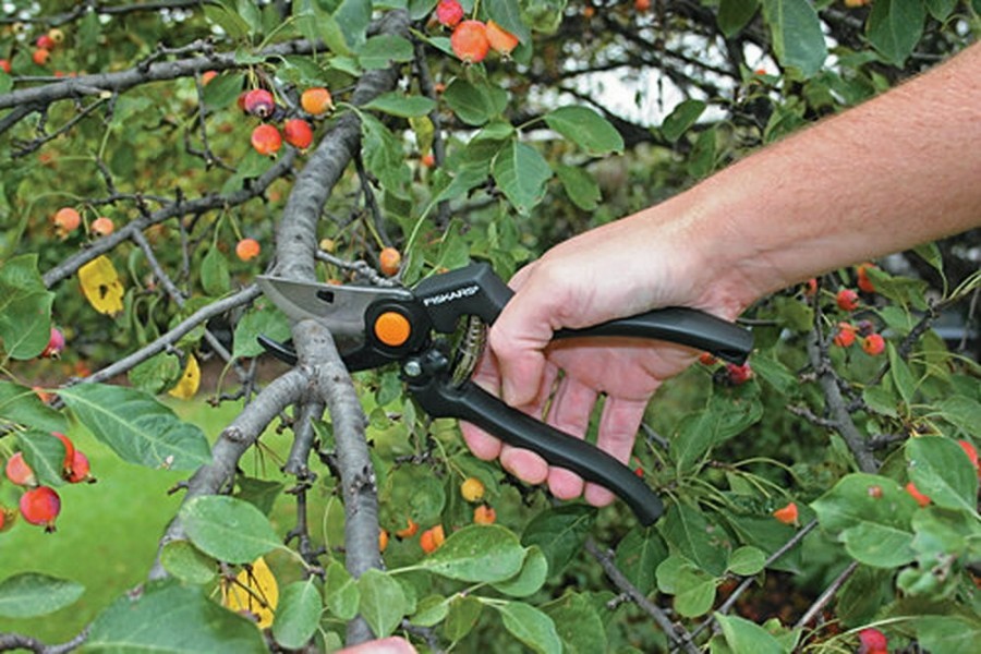 Sekatorius FISKARS PRO P90, 23 cm, atraminiais ašmeninis, profesionalus - 4
