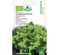 Valgomųjų rūgštynių sėklos GARDEN SORREL, 1 g-0
