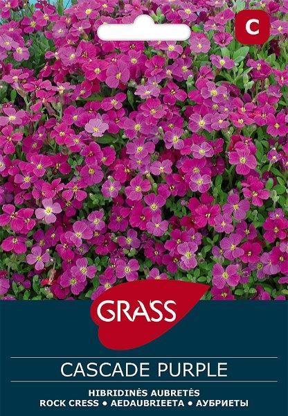 Aubrečių sėklos CASCADE PURPLE, 0,1 g-0