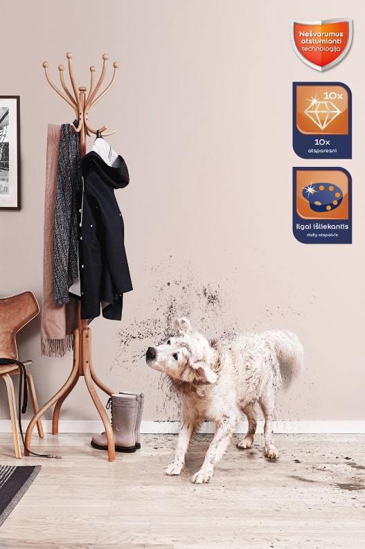 Nešvarumus atstumiantys sienų dažai SADOLIN EASYCARE, matiniai, baltos sp., BW bazė, 10 l - 3
