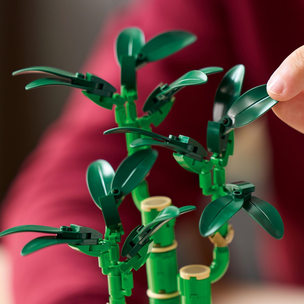 Konstruktorius LEGO® Botanicals Lucky Bamboo, 10344 - 4