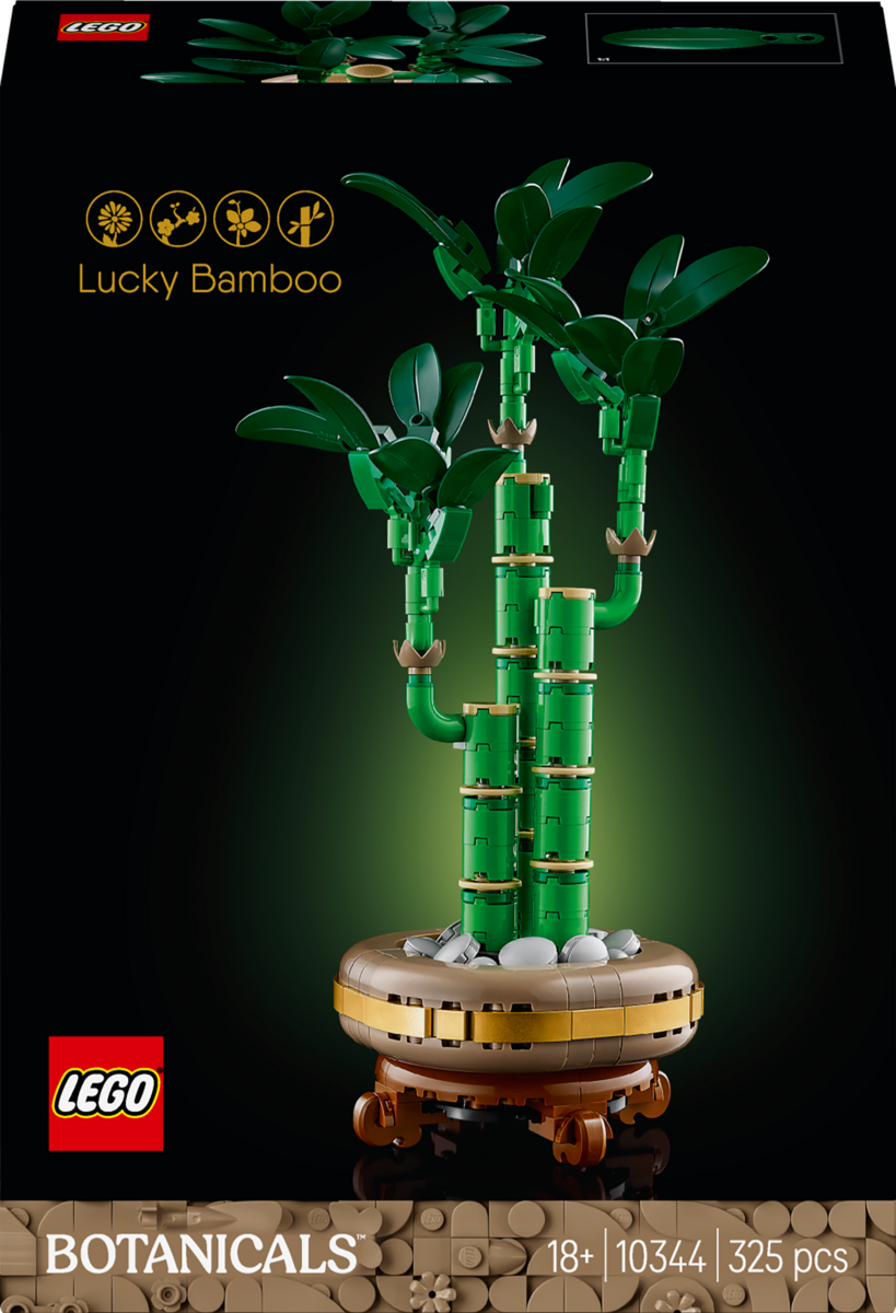 Konstruktorius LEGO Botanicals Mini Orchid Lucky Bamboo-0