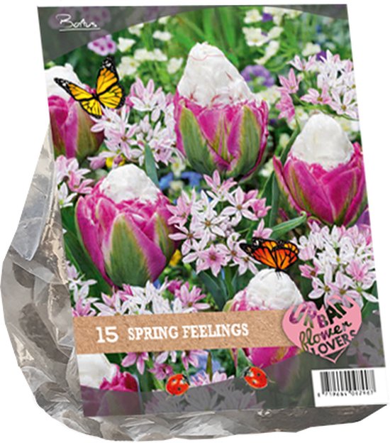 Gėlių svogūnėlių rinkinys, lot. URBAN FLOWERS - SPRING FEELINGS, 15 vnt-0