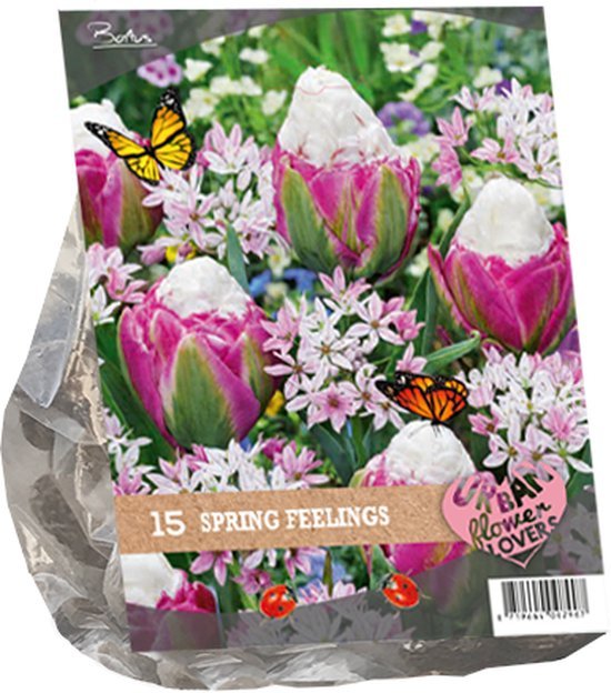 Gėlių svogūnėlių rinkinys, lot. URBAN FLOWERS - SPRING FEELINGS, 15 vnt