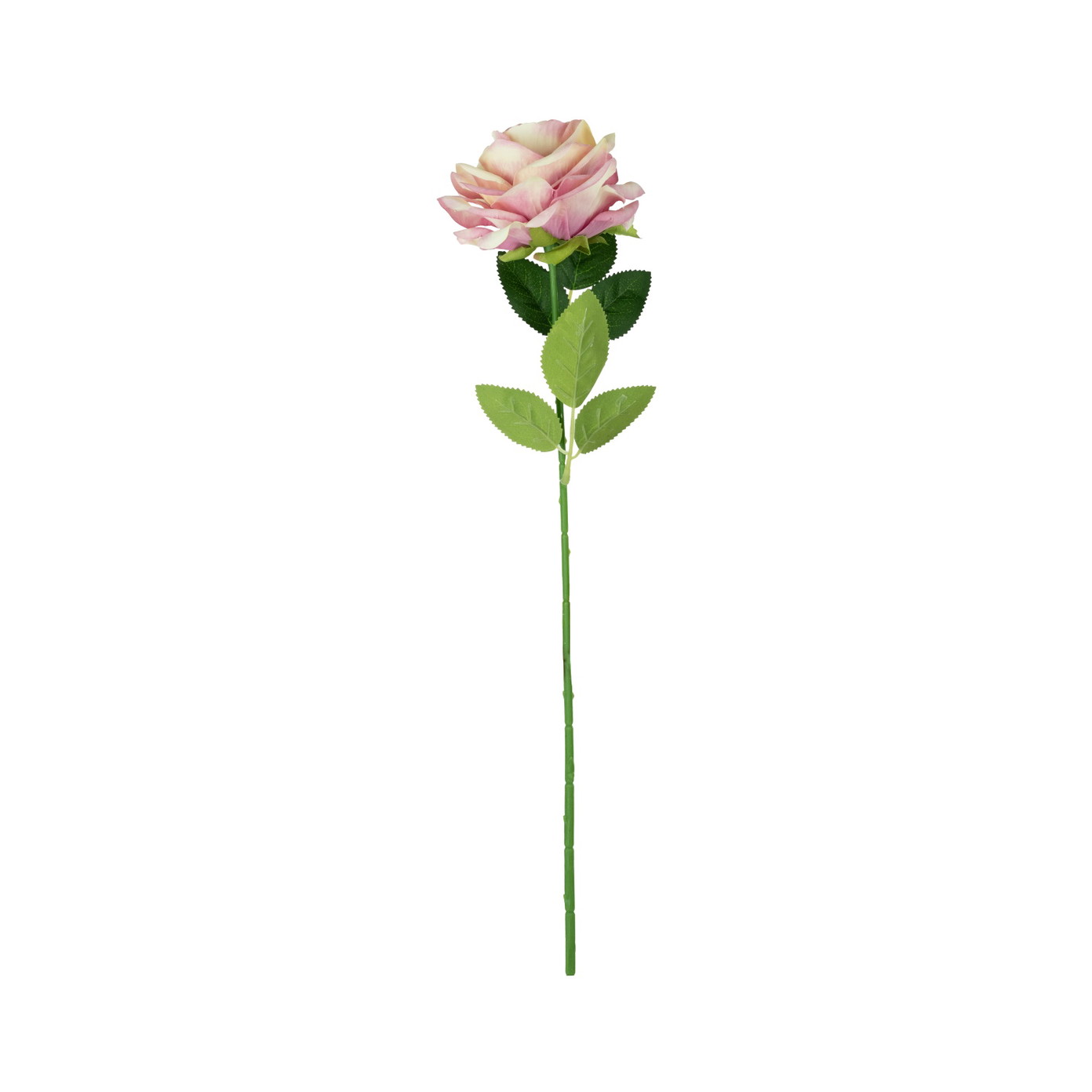 Dirbtinė gėlė ELEMENTS SENSE ROSE, 4 rūšių, 50 cm-0