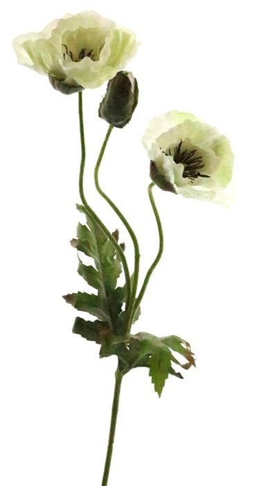 Dirbtinė gėlė Aguona kreminės sp., 70 cm