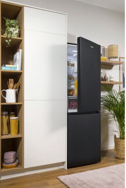 Šaldytuvas su šaldikliu Gorenje NRK619EABXL4 - 5