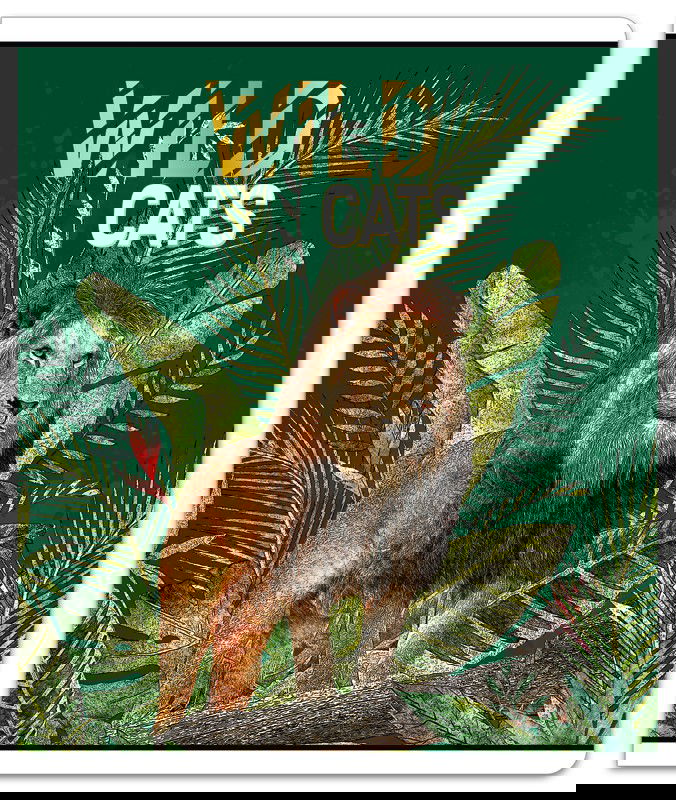 Platus Sąsiuvinis langeliais WILD CATS A5 48 lapai - 1