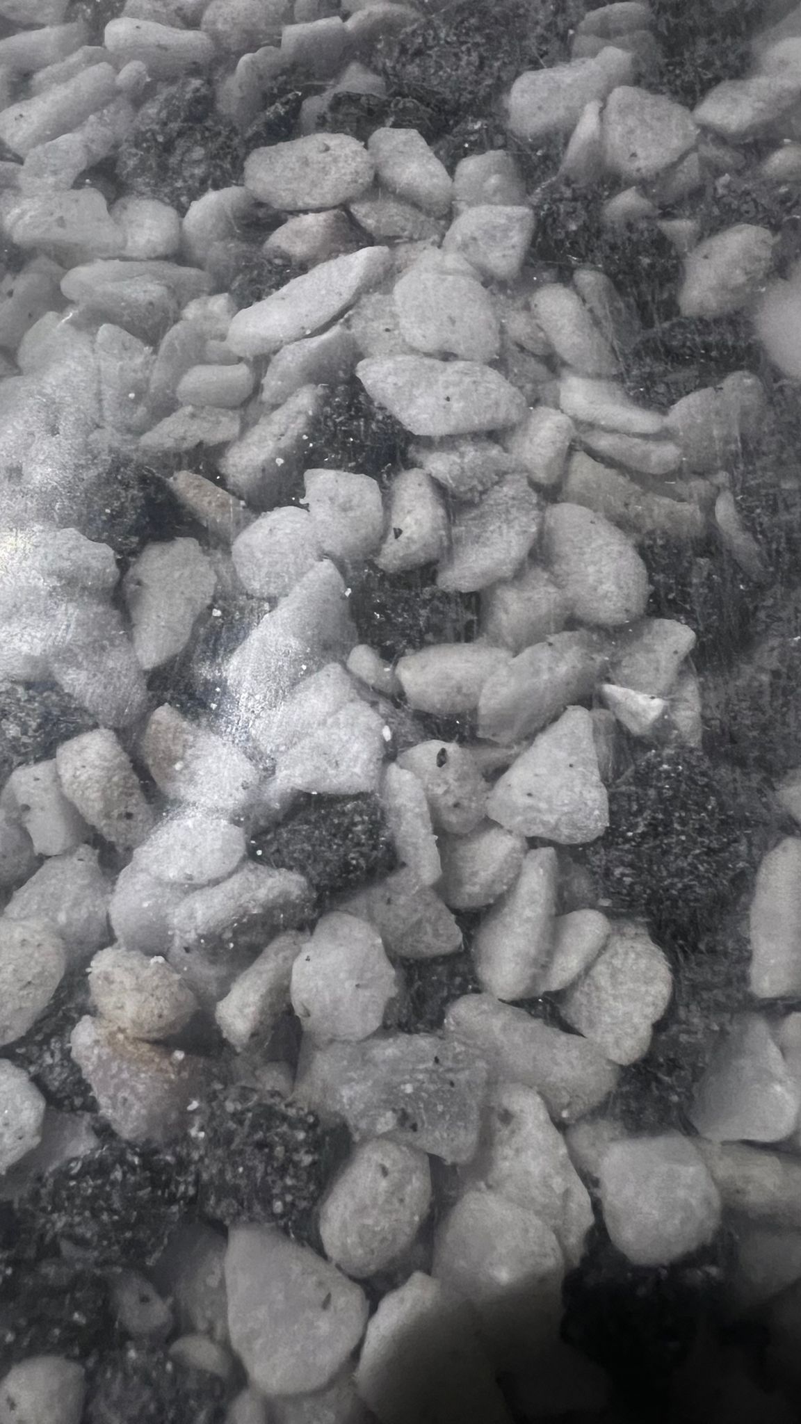 Marmuro skalda CHESS, 5-10 mm, 20 kg-0