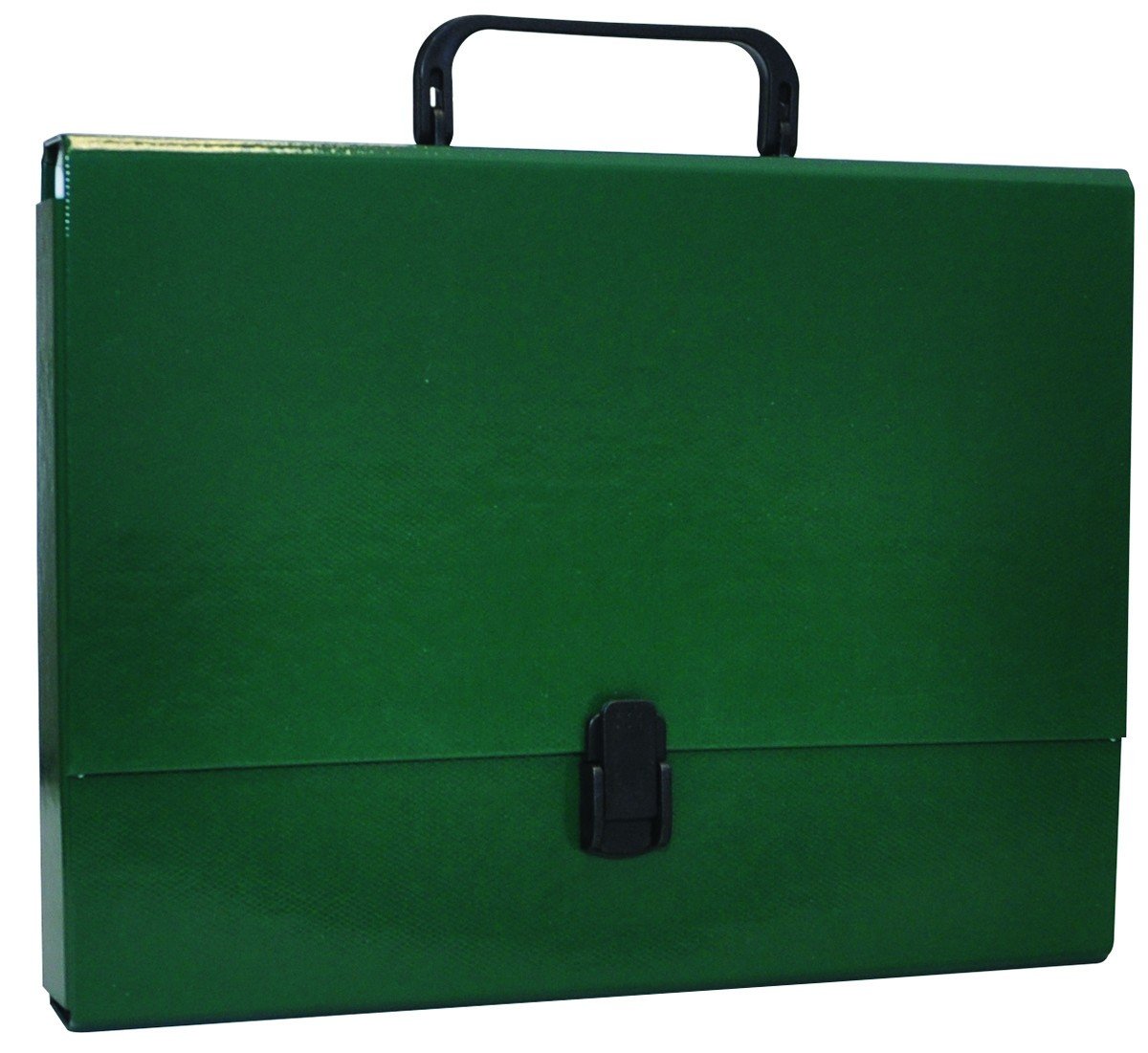 Aplankalas su rankenėle A4, 5cm, žalia