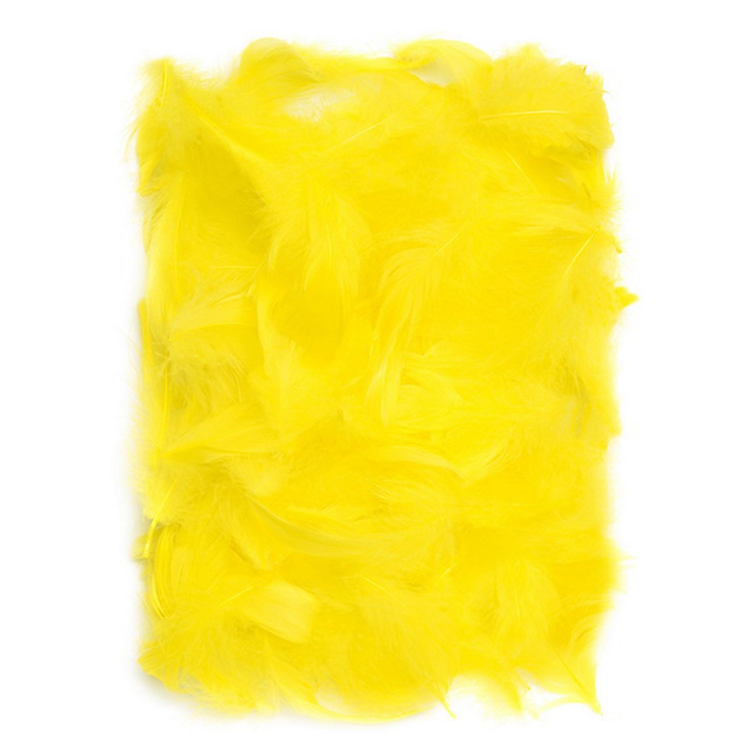 Plunksnos, 5-12 cm, 10 g, geltonos spalvos