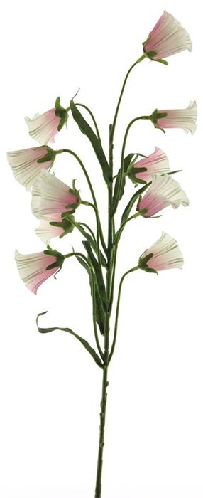 Dirbtinis augalas Kampanula, rausvos sp., 75 cm