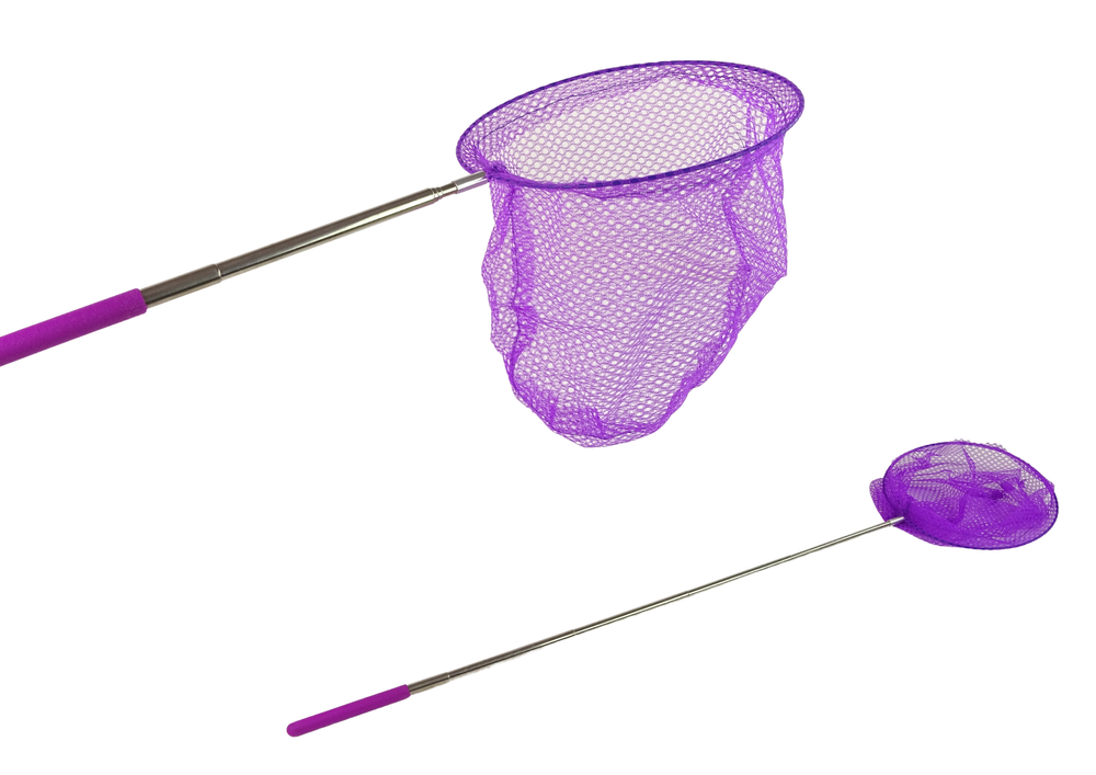 Tinklelis drugeliams gaudyti su teleskopine rankena, 85 cm, violetinis