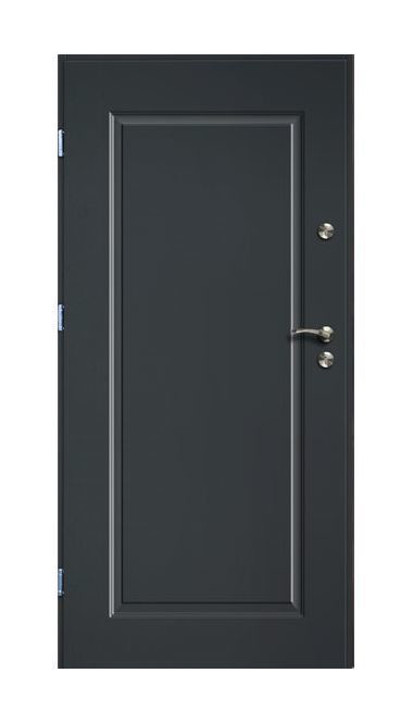 Lauko durys RADEX SQUARE, antracito sp., 1000 x 2070 mm, kairė-0