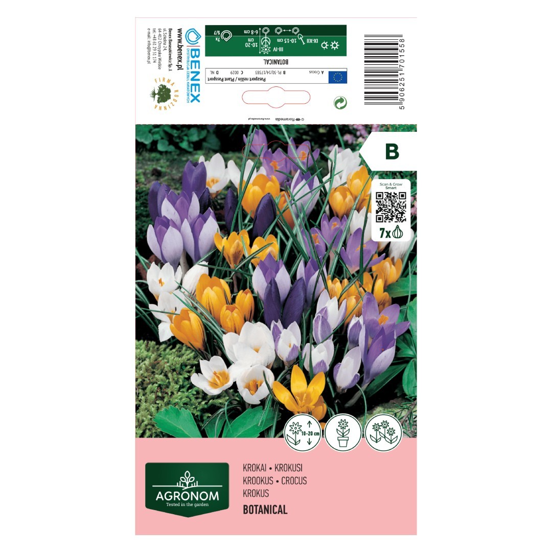 Krokų svogūnėliai, lot. CROCUS MIXED, 7 vnt-0