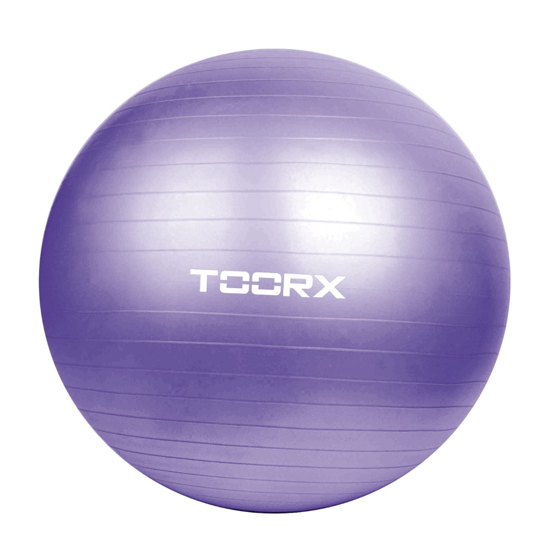 Gimnastikos kamuolys 75cm TOORX AHF-013 +pompa-0
