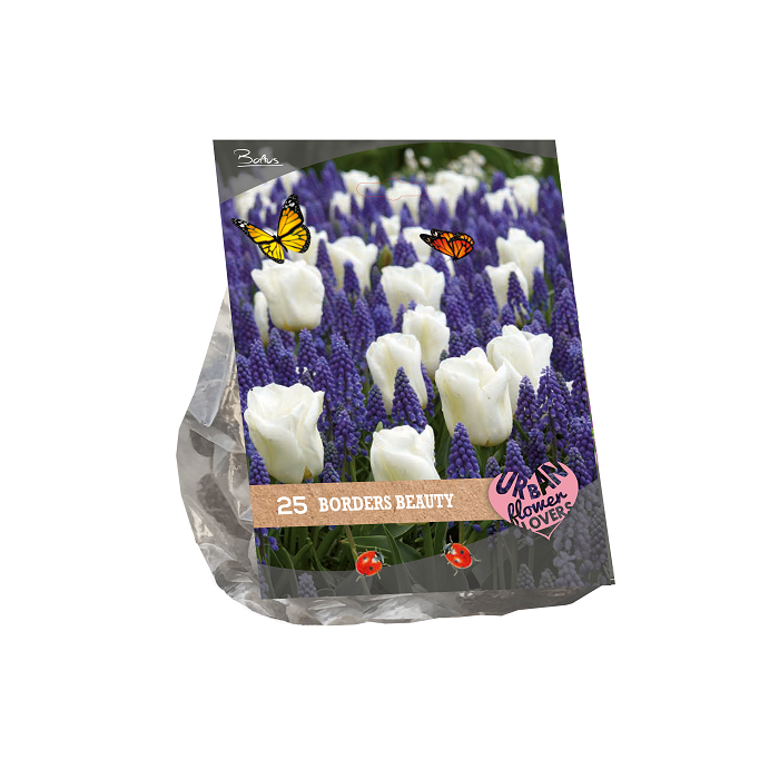 Gėlių svogūnėlių rinkinys, lot. URBAN FLOWERS - BORDERS BEAUTY, 25 vnt-0