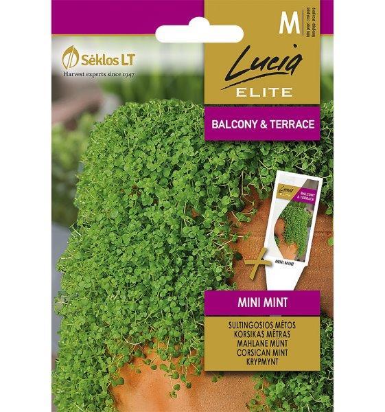 Sultingųjų mėtų MINI MINT sėklos, 20 vnt./pak.-0