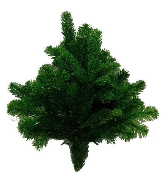 Kaukazinio kėnio šakos, 600 g, lot. ABIES NORDMANIANA BUNDS-0