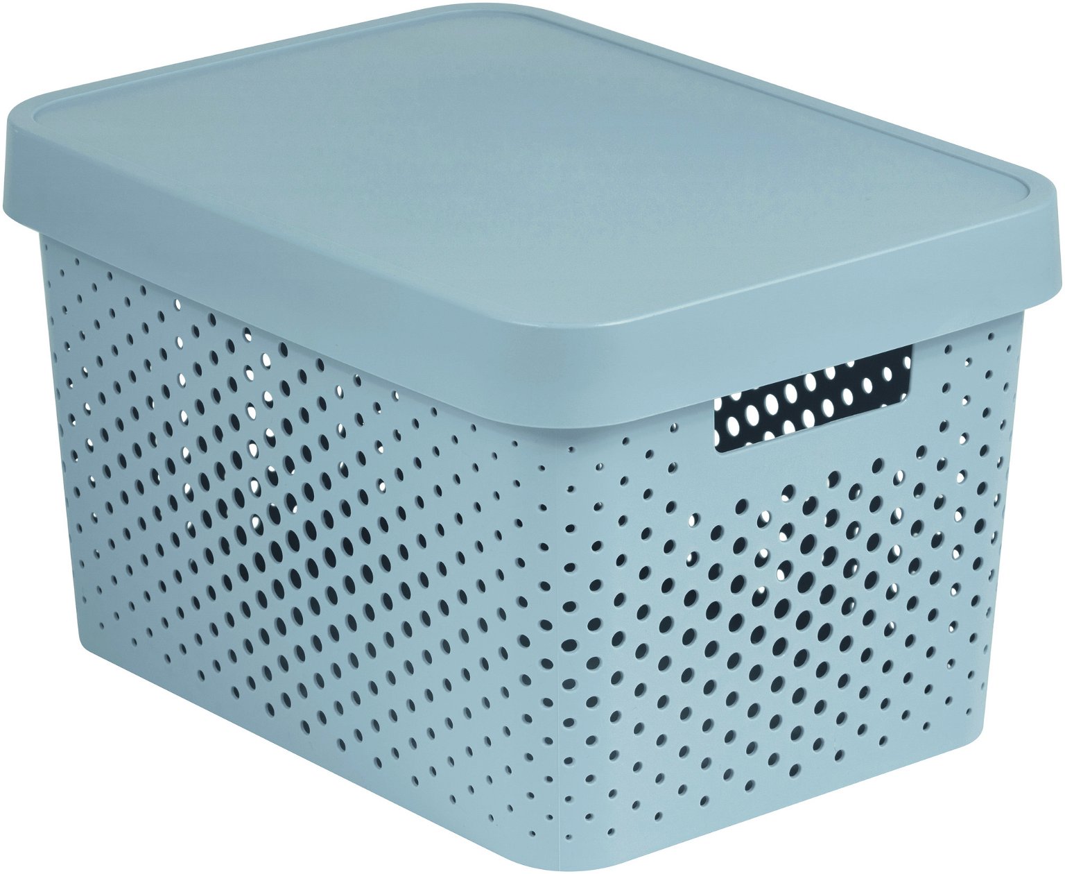 Daiktų saugojimo dėžė su dangčiu CURVER INFINITY DOTS, pilkos spalvos, h22 x 36 x 27 cm, 17 L