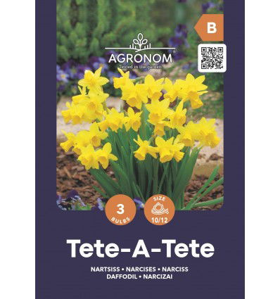 Narcizų svogūnėliai, lot. NARCISSUS TETE- A-TETE GELT, 3 vnt