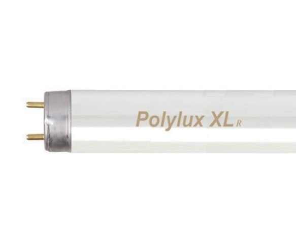 Liuminescencinė lempa POLYLUX XLR, 36 W, 3350 lm, 4000K, T8, 120 cm