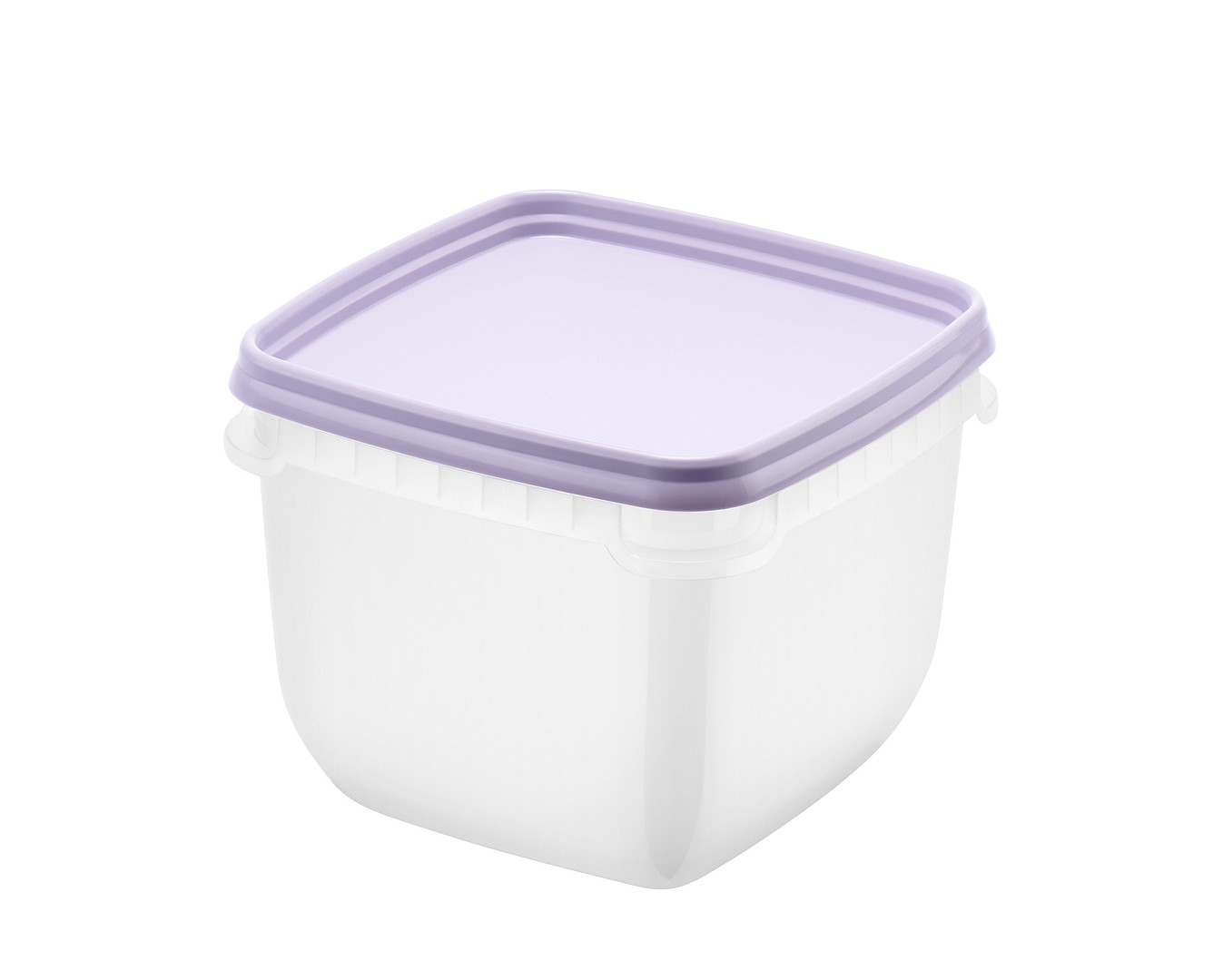 Vienkartiniai šaldymo indeliai ORTHEX, 750 ml, 4 vnt-0