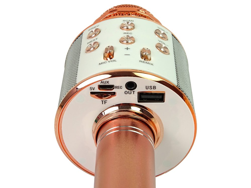Belaidis karaoke mikrofonas su garsiakalbiais ir įrašymo funkcija WS858, aukso spalvos - 6